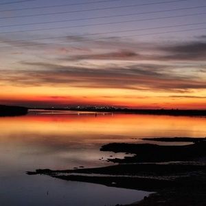 Meet your Posher, Rhiannon